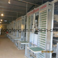 Hot Sale of Good Quality Chicken Cage Certificated with ISO9001